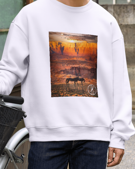 THÈA RA – "Arizona Moment" Pullover